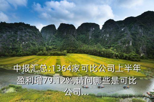 中報(bào)匯總:1364家可比公司上半年盈利增79.12%,請(qǐng)問哪些是可比公司...