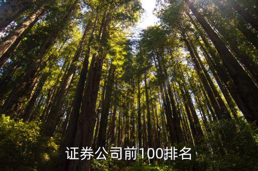 證券公司前100排名