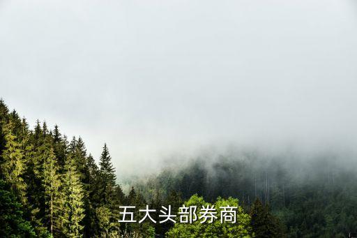 國泰君安證券股份有限公司佛山,深圳市國泰君安證券股份有限公司