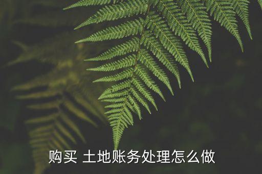  購買 土地賬務處理怎么做