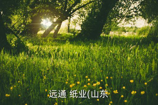 遠(yuǎn)通 紙業(yè)(山東