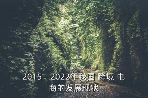 2015—2022年我國 跨境 電商的發(fā)展現(xiàn)狀