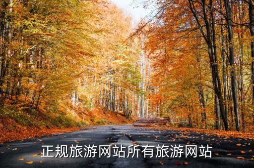 正規(guī)旅游網(wǎng)站所有旅游網(wǎng)站