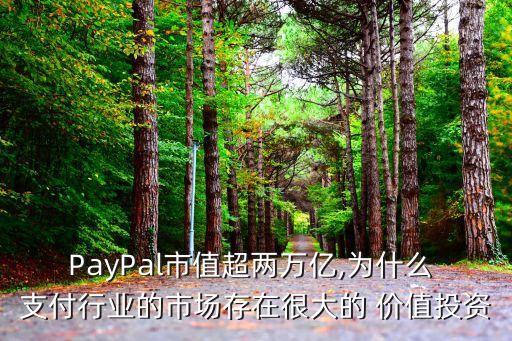 PayPal市值超兩萬(wàn)億,為什么 支付行業(yè)的市場(chǎng)存在很大的 價(jià)值投資