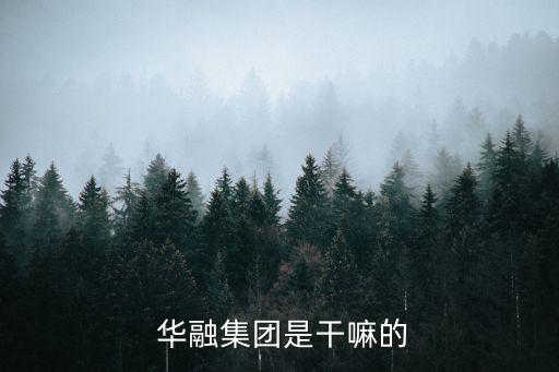  華融集團是干嘛的