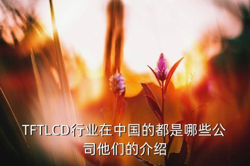 TFTLCD行業(yè)在中國(guó)的都是哪些公司他們的介紹