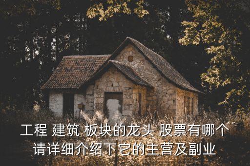 工程 建筑 板塊的龍頭 股票有哪個(gè)請?jiān)敿?xì)介紹下它的主營及副業(yè)