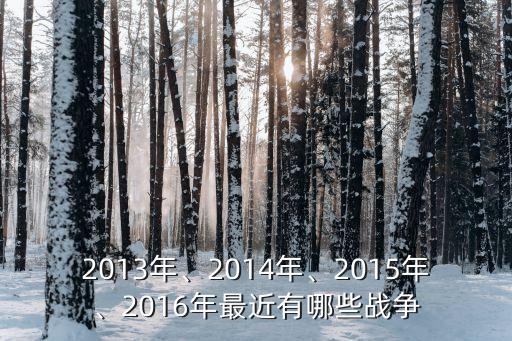 2013年、2014年、2015年、2016年最近有哪些戰(zhàn)爭