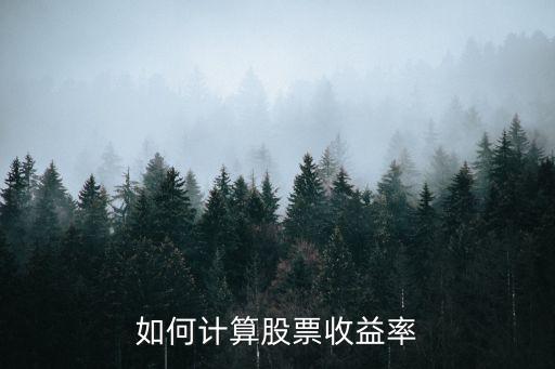 如何計(jì)算股票收益率