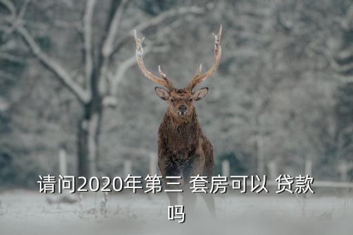 請問2020年第三 套房可以 貸款嗎