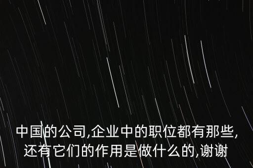 中國的公司,企業(yè)中的職位都有那些,還有它們的作用是做什么的,謝謝