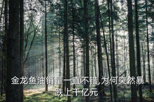 北京金龍盤(pán)投資中心