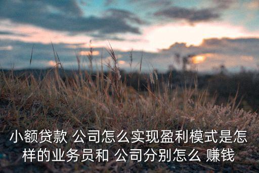 小額貸款 公司怎么實(shí)現(xiàn)盈利模式是怎樣的業(yè)務(wù)員和 公司分別怎么 賺錢