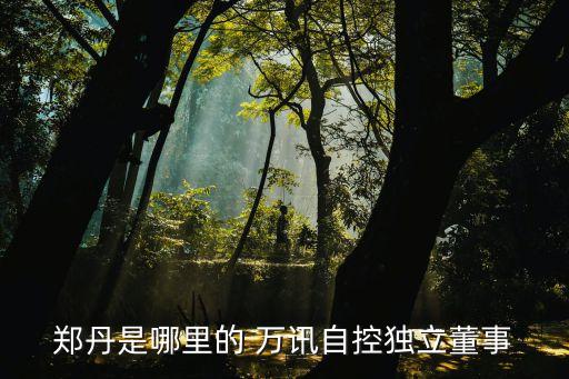 鄭丹是哪里的 萬(wàn)訊自控獨(dú)立董事