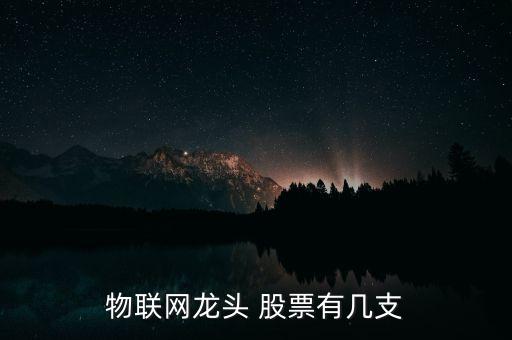 物聯(lián)網(wǎng)龍頭 股票有幾支