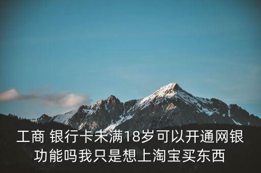 工商 銀行卡未滿18歲可以開通網(wǎng)銀功能嗎我只是想上淘寶買東西