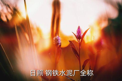  日照 鋼鐵水泥廠全稱