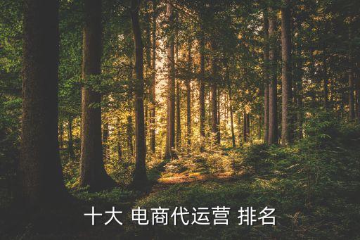 十大 電商代運(yùn)營(yíng) 排名