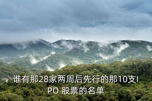 誰(shuí)有那28家兩周后先行的那10支IPO 股票的名單