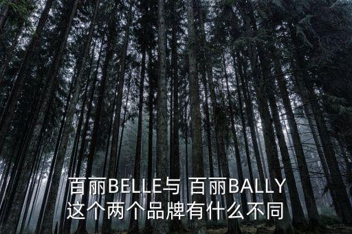  百麗BELLE與 百麗BALLY這個兩個品牌有什么不同