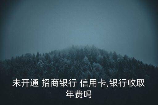 未開通 招商銀行 信用卡,銀行收取年費嗎