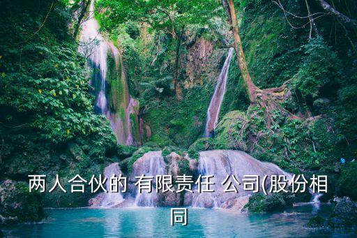 兩人合伙的 有限責(zé)任 公司(股份相同