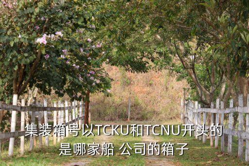 集裝箱號以TCKU和TCNU開頭的是哪家船 公司的箱子