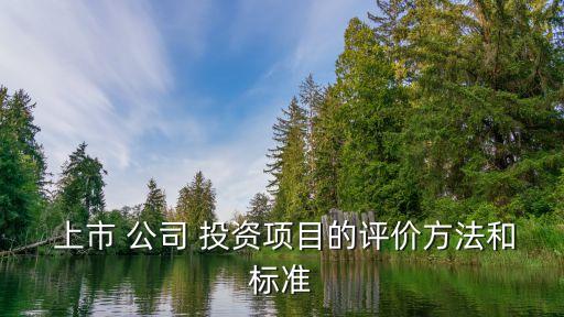  上市 公司 投資項目的評價方法和標(biāo)準(zhǔn)