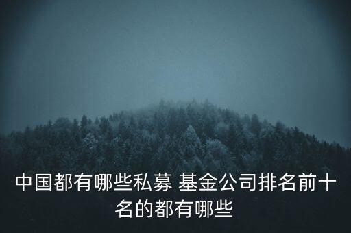 中國(guó)都有哪些私募 基金公司排名前十名的都有哪些