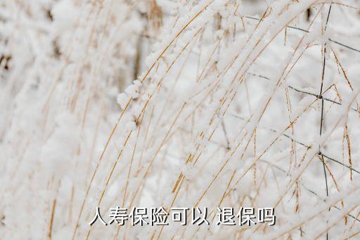  人壽保險(xiǎn)可以 退保嗎