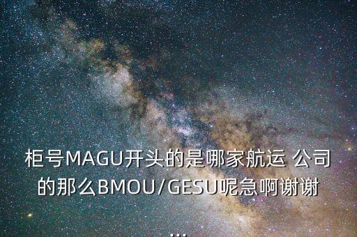 柜號MAGU開頭的是哪家航運 公司的那么BMOU/GESU呢急啊謝謝...