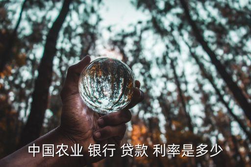 中國農(nóng)業(yè) 銀行 貸款 利率是多少