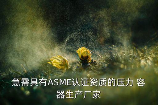 急需具有ASME認(rèn)證資質(zhì)的壓力 容器生產(chǎn)廠家