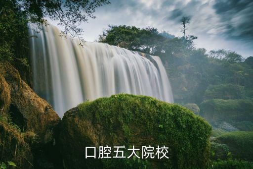 現(xiàn)代牙科集團(tuán)董事長(zhǎng),現(xiàn)代集團(tuán)董事長(zhǎng)章鵬飛