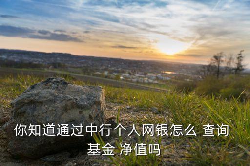 你知道通過(guò)中行個(gè)人網(wǎng)銀怎么 查詢 基金 凈值嗎