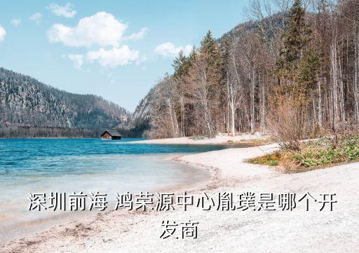  深圳前海 鴻榮源中心胤璞是哪個(gè)開發(fā)商