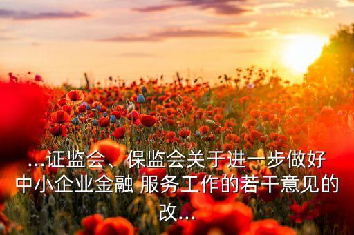 ...證監(jiān)會、保監(jiān)會關(guān)于進一步做好中小企業(yè)金融 服務(wù)工作的若干意見的改...