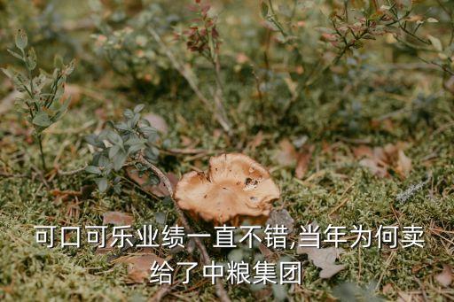  可口可樂業(yè)績一直不錯,當(dāng)年為何賣給了中糧集團(tuán)