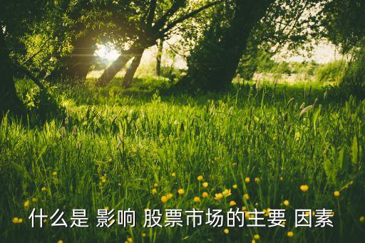 什么是 影響 股票市場的主要 因素