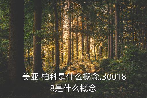  美亞 柏科是什么概念,300188是什么概念