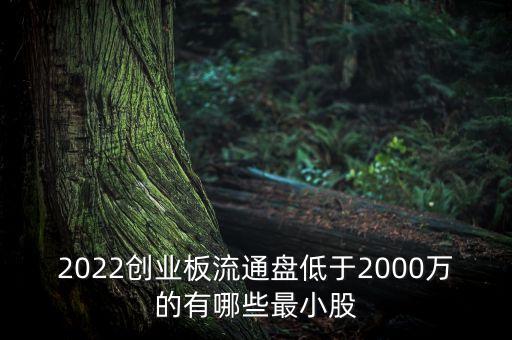 2022創(chuàng)業(yè)板流通盤低于2000萬的有哪些最小股