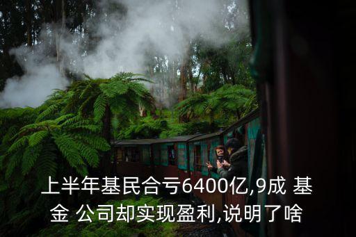 上半年基民合虧6400億,9成 基金 公司卻實現盈利,說明了啥