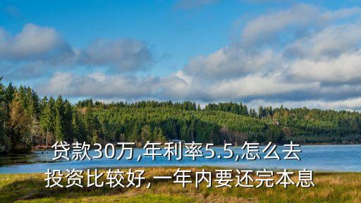 貸款30萬(wàn),年利率5.5,怎么去 投資比較好,一年內(nèi)要還完本息