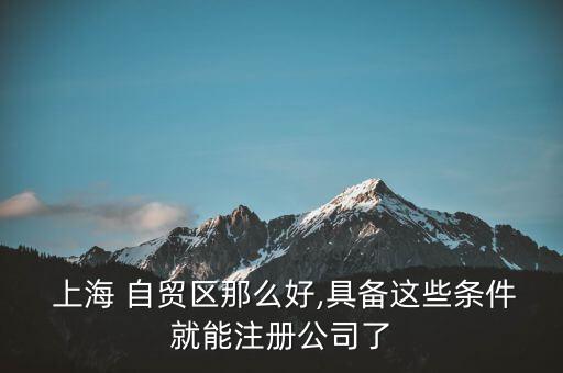  上海 自貿(mào)區(qū)那么好,具備這些條件就能注冊(cè)公司了