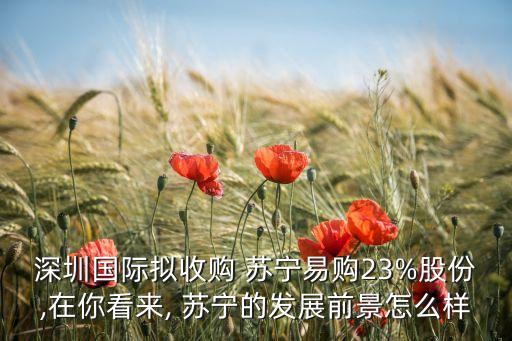 深圳國(guó)際擬收購(gòu) 蘇寧易購(gòu)23%股份,在你看來(lái), 蘇寧的發(fā)展前景怎么樣