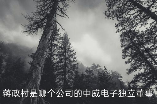 蔣政村是哪個公司的中威電子獨立董事