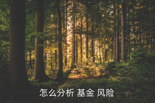 怎么分析 基金 風(fēng)險