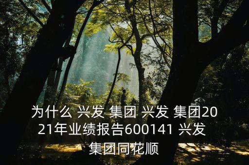 為什么 興發(fā) 集團(tuán) 興發(fā) 集團(tuán)2021年業(yè)績(jī)報(bào)告600141 興發(fā) 集團(tuán)同花順