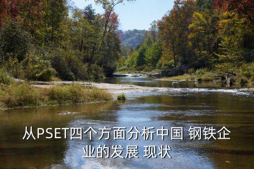 從PSET四個方面分析中國 鋼鐵企業(yè)的發(fā)展 現(xiàn)狀