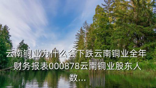 云南銅業(yè)為什么會(huì)下跌云南銅業(yè)全年 財(cái)務(wù)報(bào)表000878云南銅業(yè)股東人數(shù)...